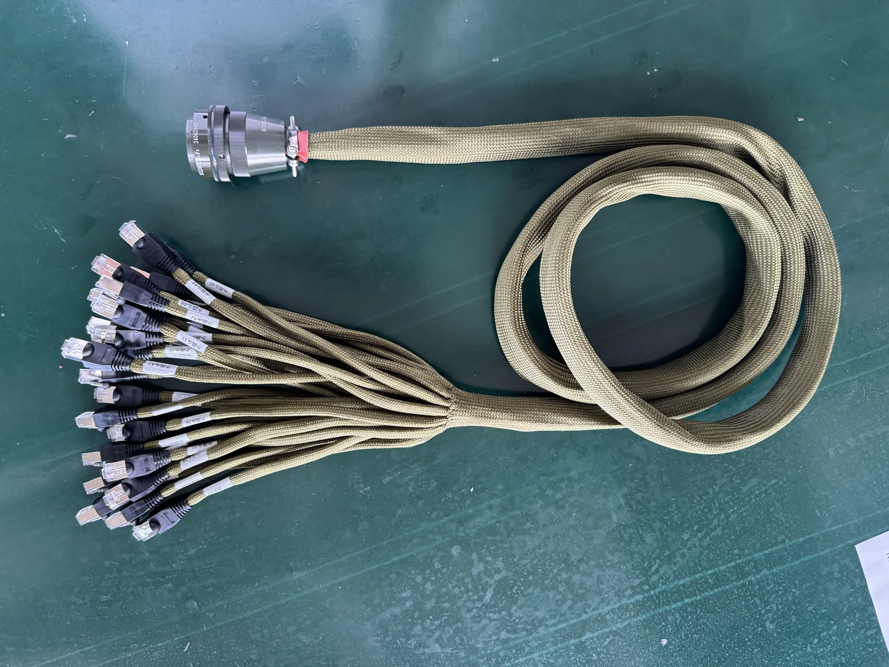 Multi-branch wire harness with circular connector and connectorized branch ends